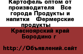 Картофель оптом от производителя - Все города Продукты и напитки » Фермерские продукты   . Красноярский край,Бородино г.